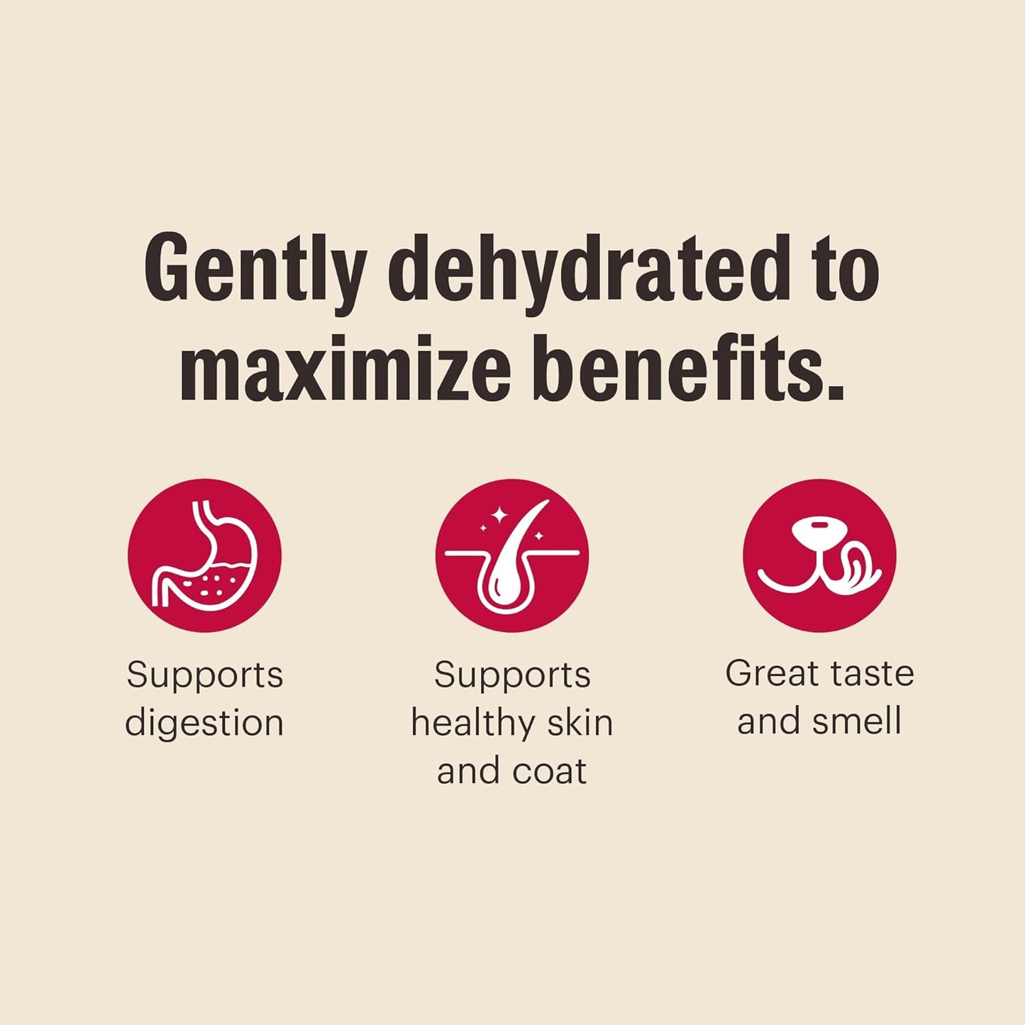 The Honest Kitchen Wholemade™ Grain Free Chicken Dog Food, 10 lb Box