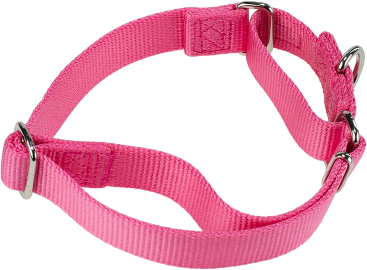 Hyhug Improved Design Nylon Webbing, Cold Water Washing Does Not Fade, Not Polluting Dog Hair, Wear Resistant and Not Prone to Fuzzing. No Slip Training Martingale Collar. (Candy Pink, Small)