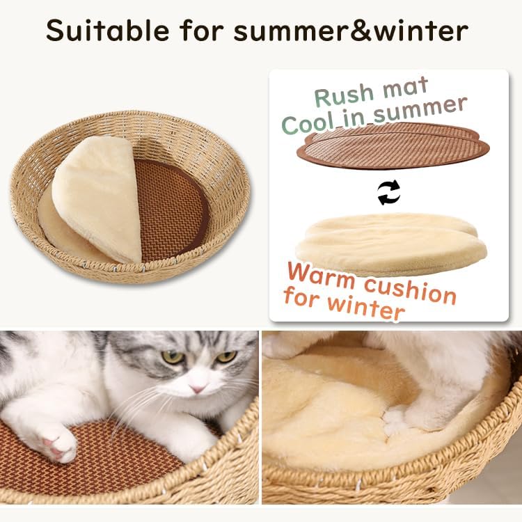 Wooden Cat Tree for Large Cats, Modern Multi-Level Condo with Natural Wood, Indoor Cat Furniture for Medium and Big Pets (Cream Y909S)