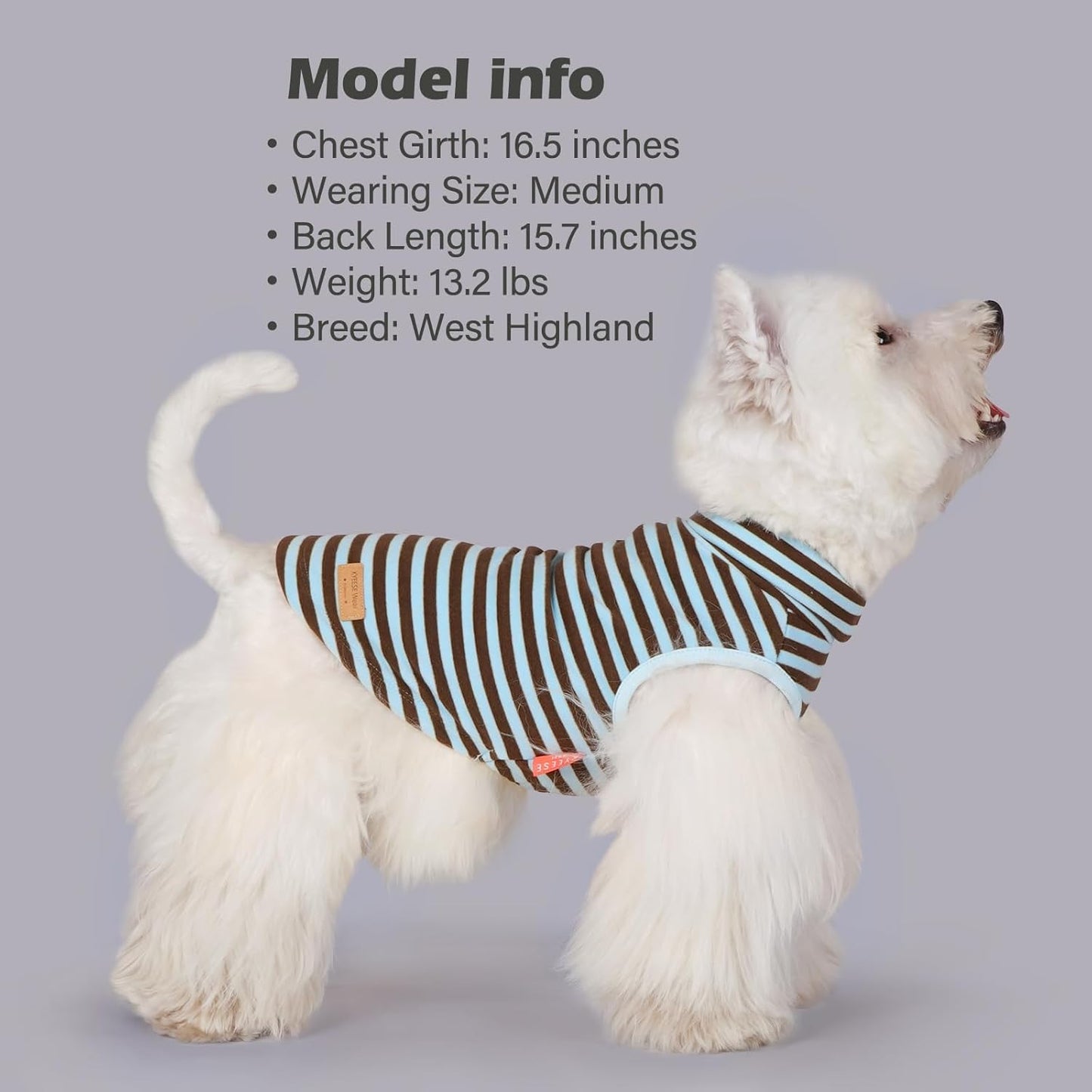 KYEESE 2Pack Dog Sweater Turtleneck Small Pets Sweaters Warm Pet Coats Soft Dachshund Clothes Pullover Pets Sweatshirt Dog Sweaters for Small Dogs Male Stretchy Dogs Clothes