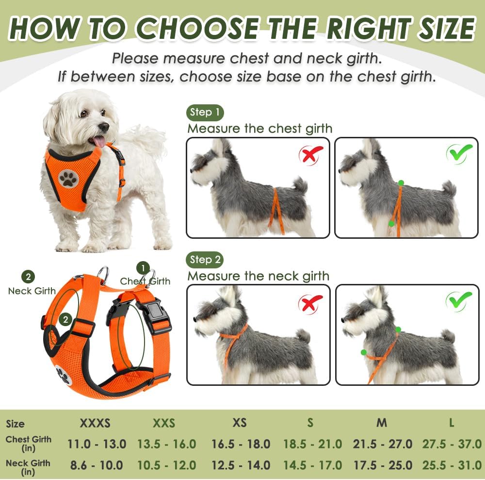 SlowTon Dog Seat Belt Harness for Car, Dog Car Harness Adjustable Mesh Breathable & Dog Seatbelt Safety Tether with Elastic Bungee for Small Medium Large Pets(Orange, Double Clip, M)