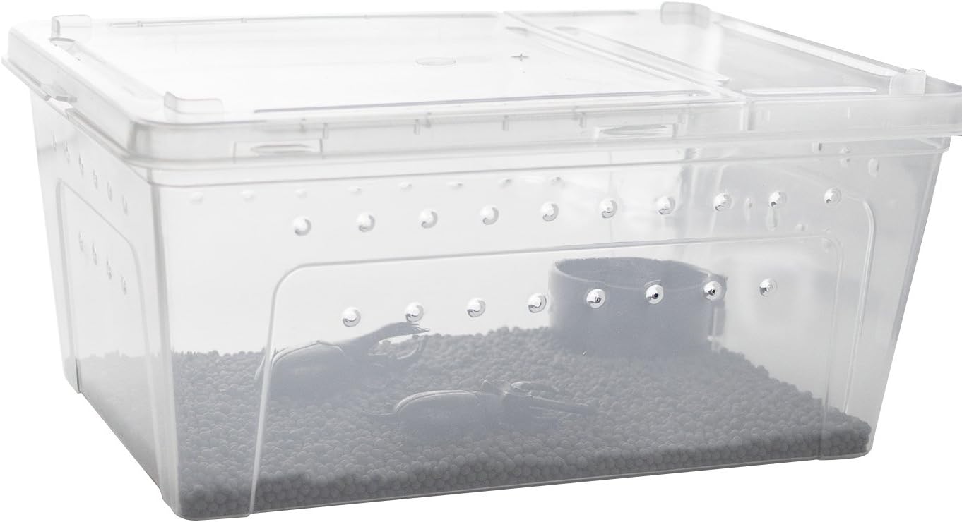 OMEM Portable Reptile Terrarium Habitat for Mini Pet Houses Breathable Holes Stackable Container (M)