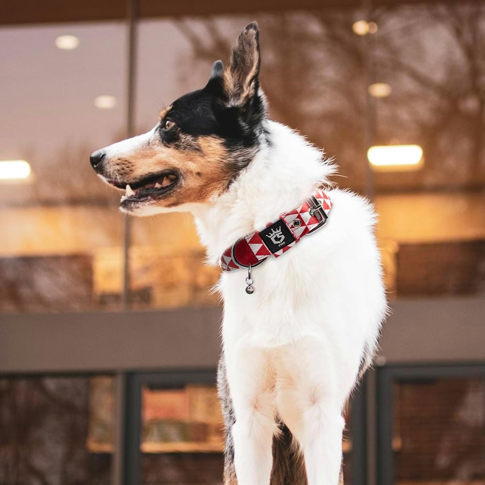 TSPRO Tactical Dog Collar 1.5 Inch Wide Thick Dog Collars with Heavy Duty Metal Buckle, Durable, Strong, Adjustable for Medium to Large Dogs (Geometric L)