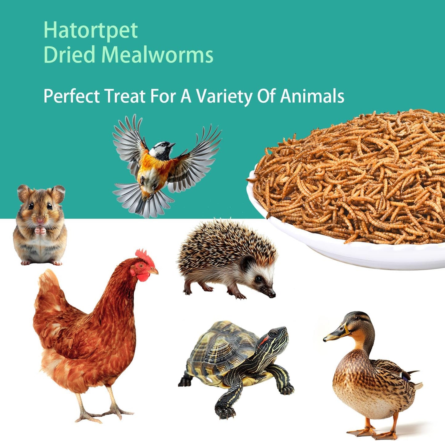 Dried Mealworms 20LB Pure Natural Non-GMO Mealworms for Chickens High Protein Chickens Feed Meal Worms for Laying Hens Wild Birds