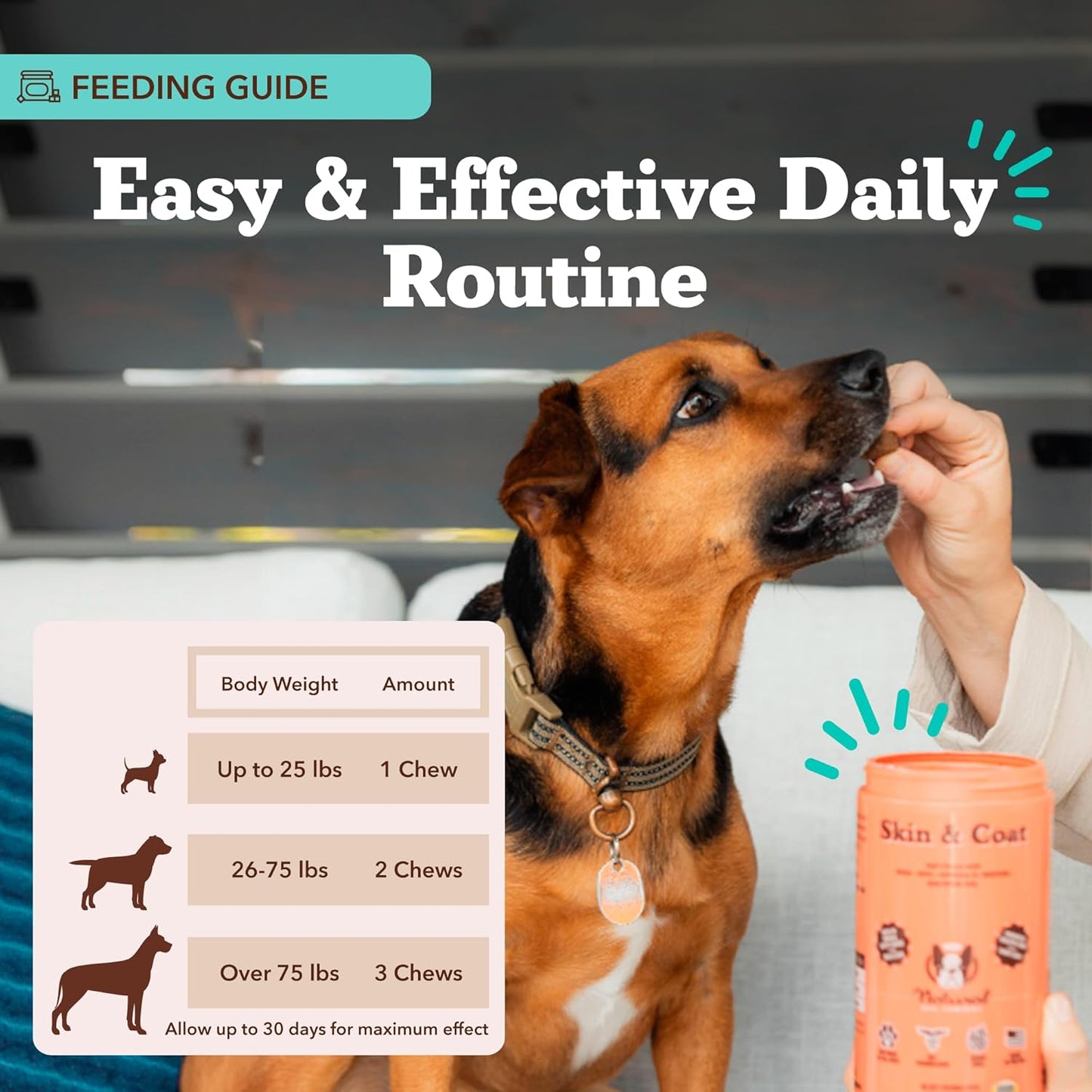 Natural Dog Company Skin & Coat Supplement for Dogs – Omega 3 Salmon Oil, Biotin & Vitamin E Support Shiny Coat, Healthy Skin & Normal Shedding, Promotes Comfort from Occasional Itch, 180 Count