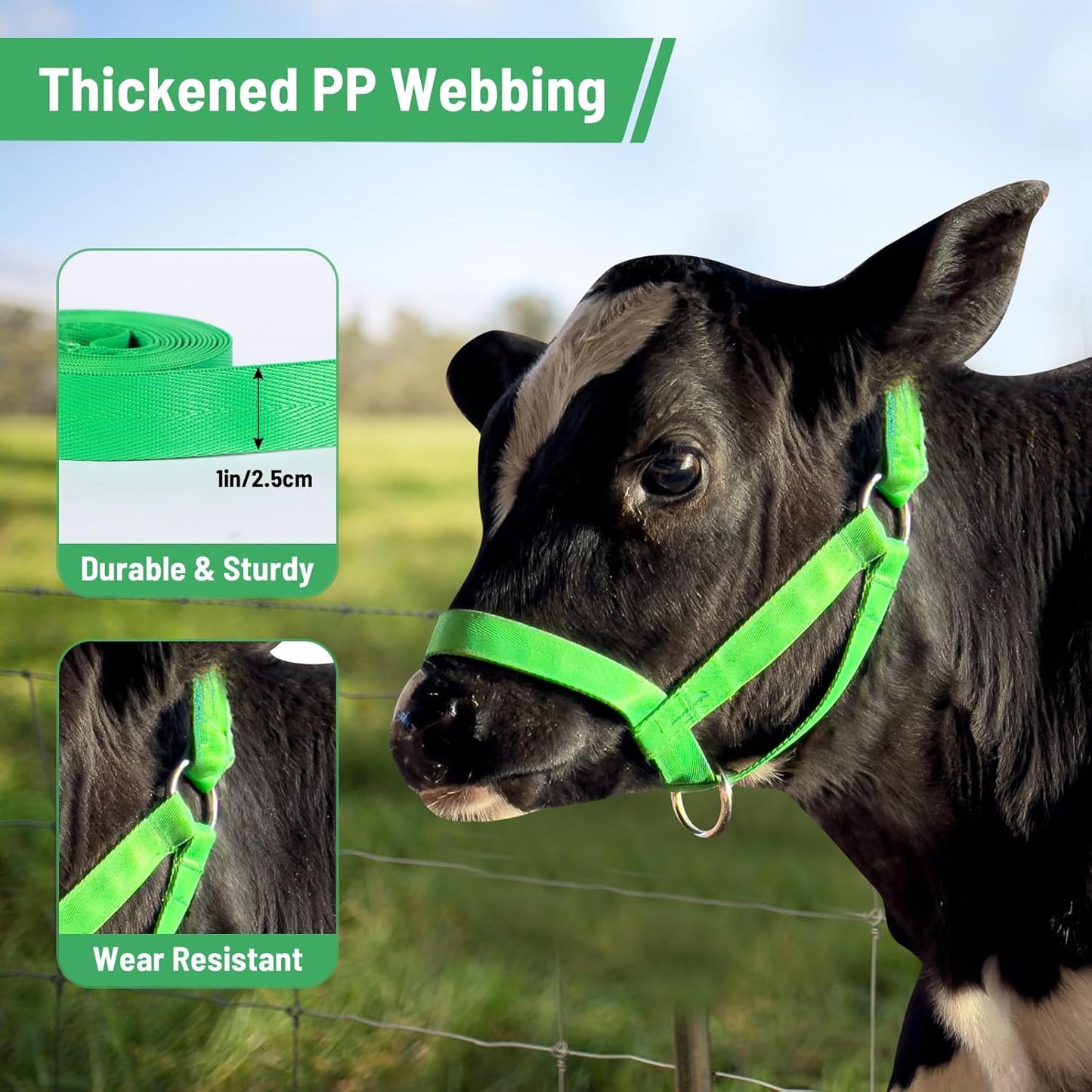 XUANNIAO Easily Adjustable Figure 8 Cow Halter, Double-Ply Premium Livestock Cattle Halters, Colorful Cow Utility Calf Halter with Leading Rope for Miniature Horse Donkey Goat Foal (Small, Green)