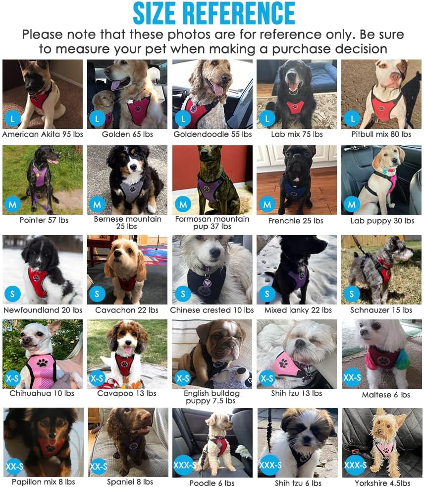 Lukovee Dog Seat Belt for Car, Adjustable Dog Car Harness for Large Medium Small Dogs, Soft Padded & Breathable Mesh Dog Seatbelt with Car Strap and Carabiner(Purple Double Clip,Large)