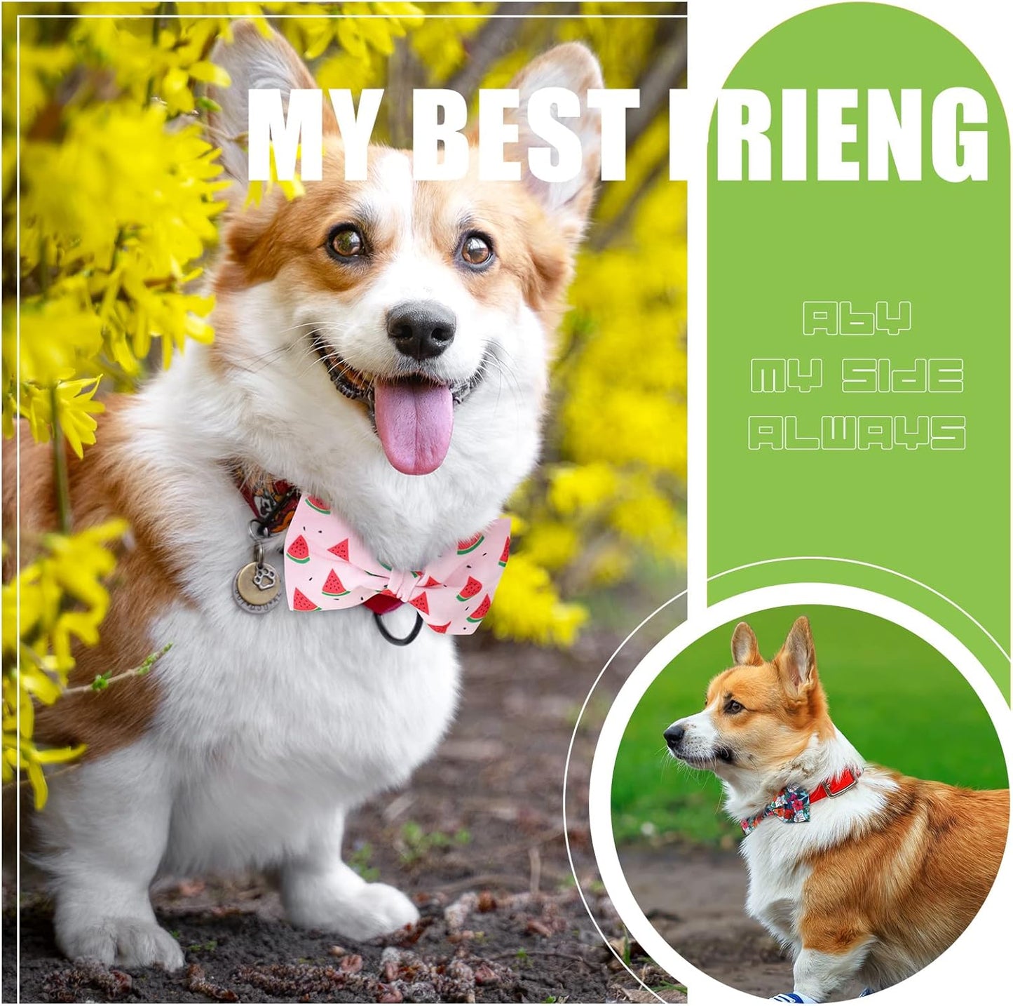 Weewooday 16 Pcs Dog Bow Ties Slide Pet Collar Bows Summer Hawaiian Styles Large Dog Collar Attachment Bowtie with Rubber Bands Male Pet for Spring Summer Grooming Independence Day(Fresh Style)