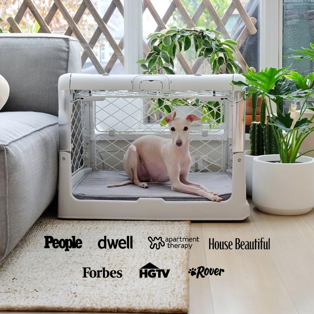 DIGGS Revol Collapsible Dog Crate with Wheels - Premium Portable Dog Crate - Safe, Stylish, and Convenient Indoor Kennel (Smoke, Medium)