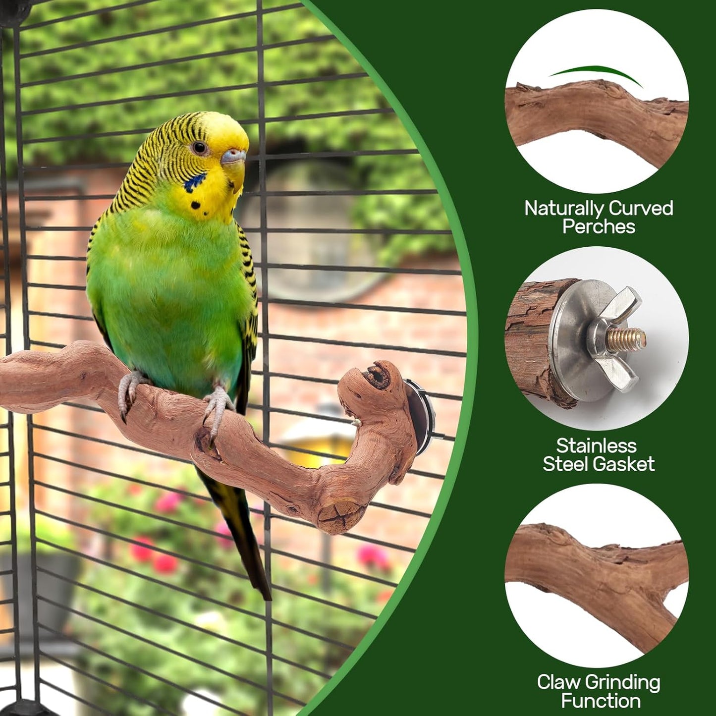 6-Piece Premium Bird Perch Stand with Natural Grape Wood Branch, Paw Grinding Fork, Chewing Stick, Cage Accessories for Parakeets, Budgies, Cockatiels, Finches, Lovebirds