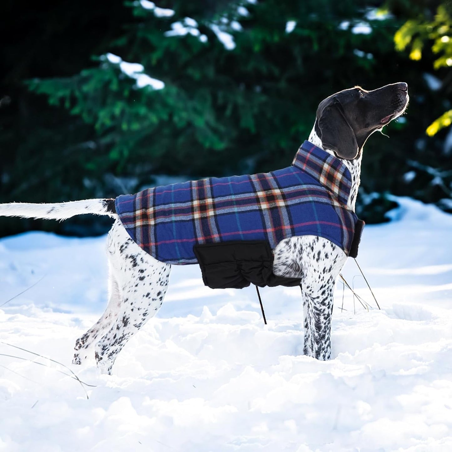 Kuoser Warm Dog Coat, Waterproof Dog Coats for X-Small Dogs, Adjustable Durable Doggie Winter Jacket Reversible Cozy Puppy Cold Weather Apparel from Small to Large Breed, Navy XS