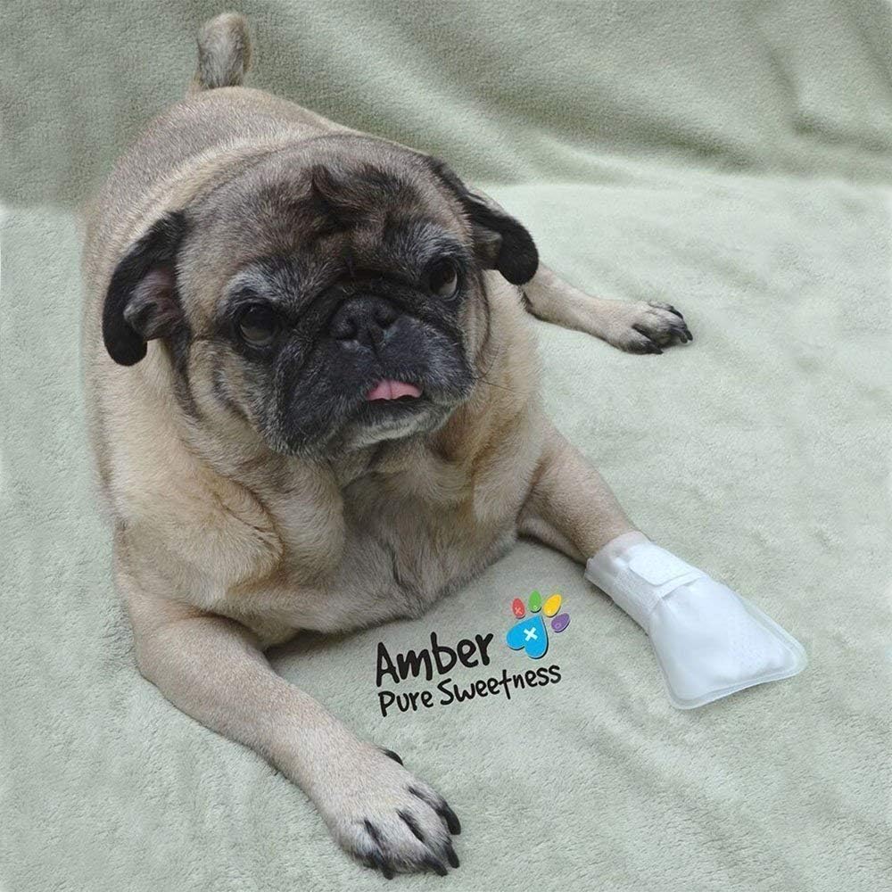 Outdoor Water Proof Cover. Slides Over MediMitts for Dogs paw (which are Sold Separately) Fastens with Medimitt Strap. Useful for hot Spots, Allergies and More. Value 20pack (Small)