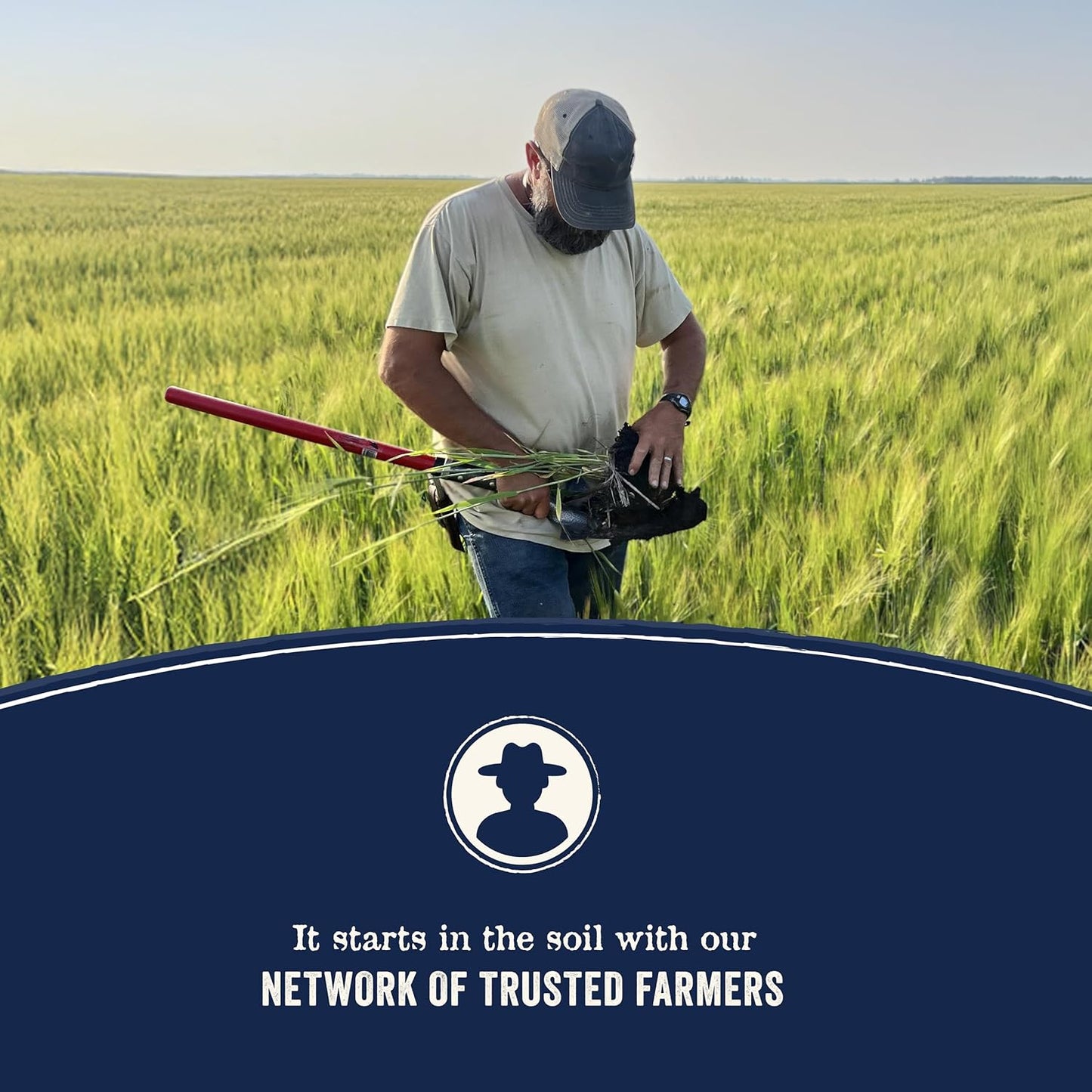 Canidae Pure Farm to Bowl Pasture-Raised Lamb & Sweet Potato, Grain-Free Dry Dog Food, Adult, 22lb