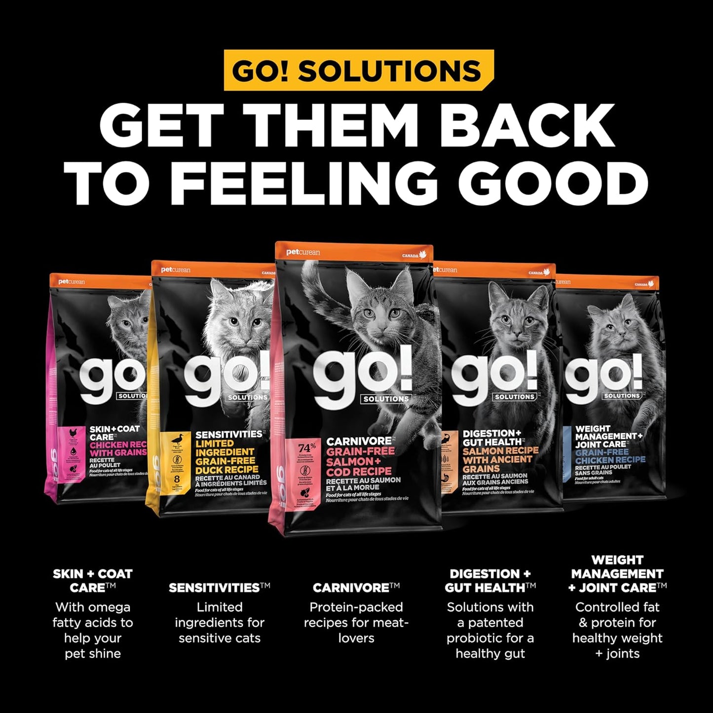 Go! Solutions Carnivore, Grain-Free, Protein Rich Dry Cat Food, Salmon and Cod Recipe, 16 lb Bag