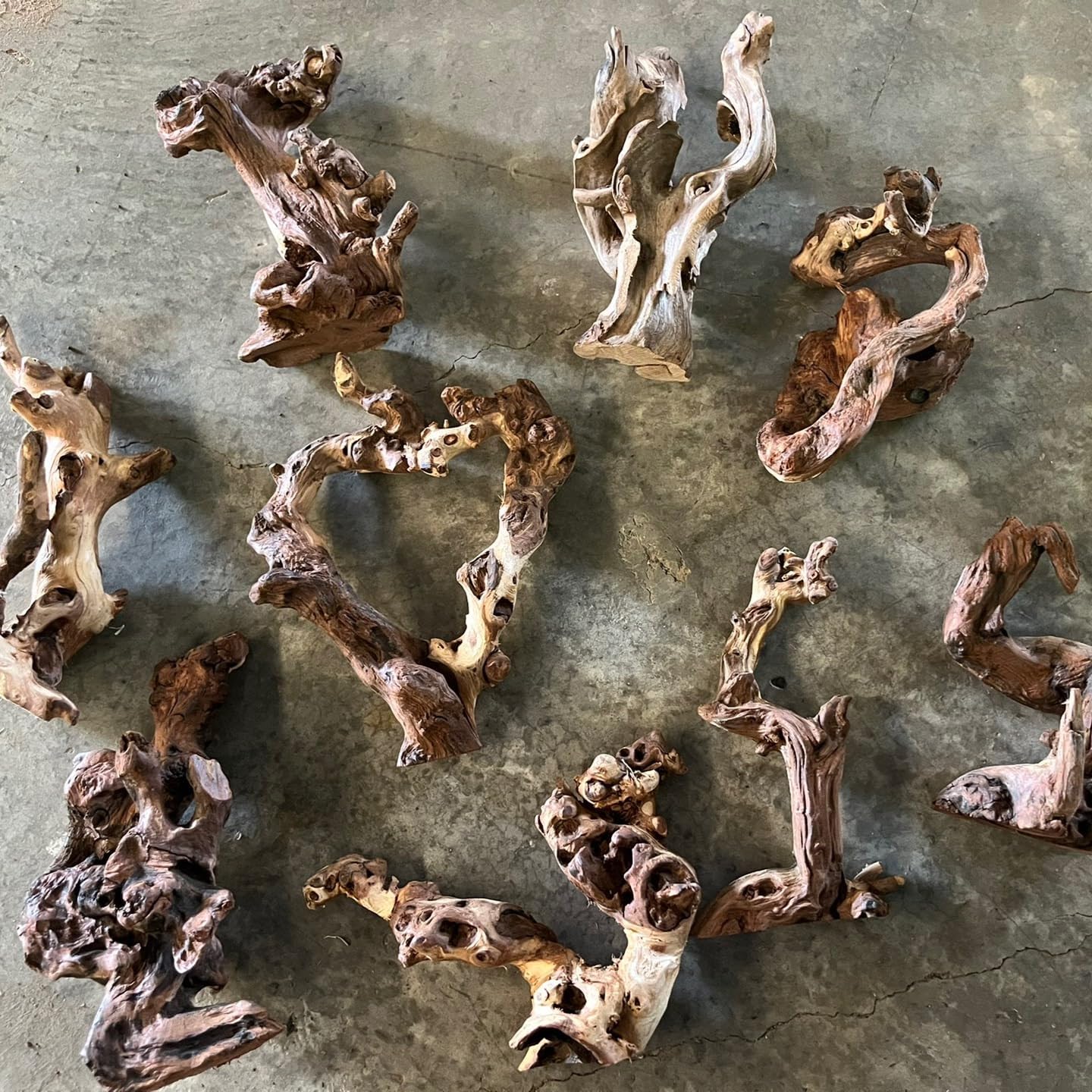 Small Natural Driftwood for Aquarium Styling Carefully Selected Natural Aquarium Decor Driftwood for Reptile Tank Reptile Tank Wood Decor (2pcs grapewood Branch 10-12inch)