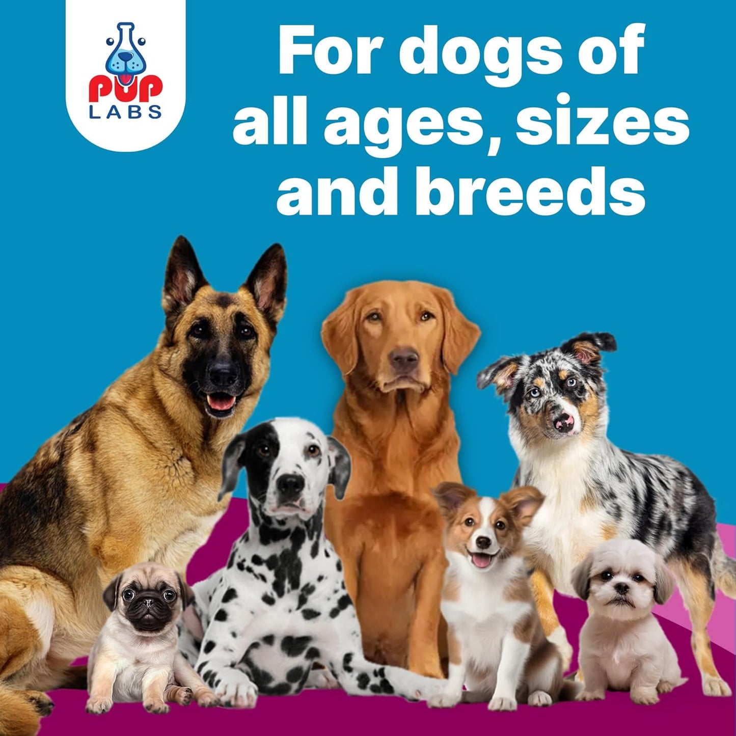 K9 Belly Bliss, All-Natural Gut Health for Dogs, Vet Approved Prebiotic for Dogs for Daily Digestive Support & Dog Constipation Relief, Topper for Dry & Wet Food, 6 Pack with 30 Scoops Each.