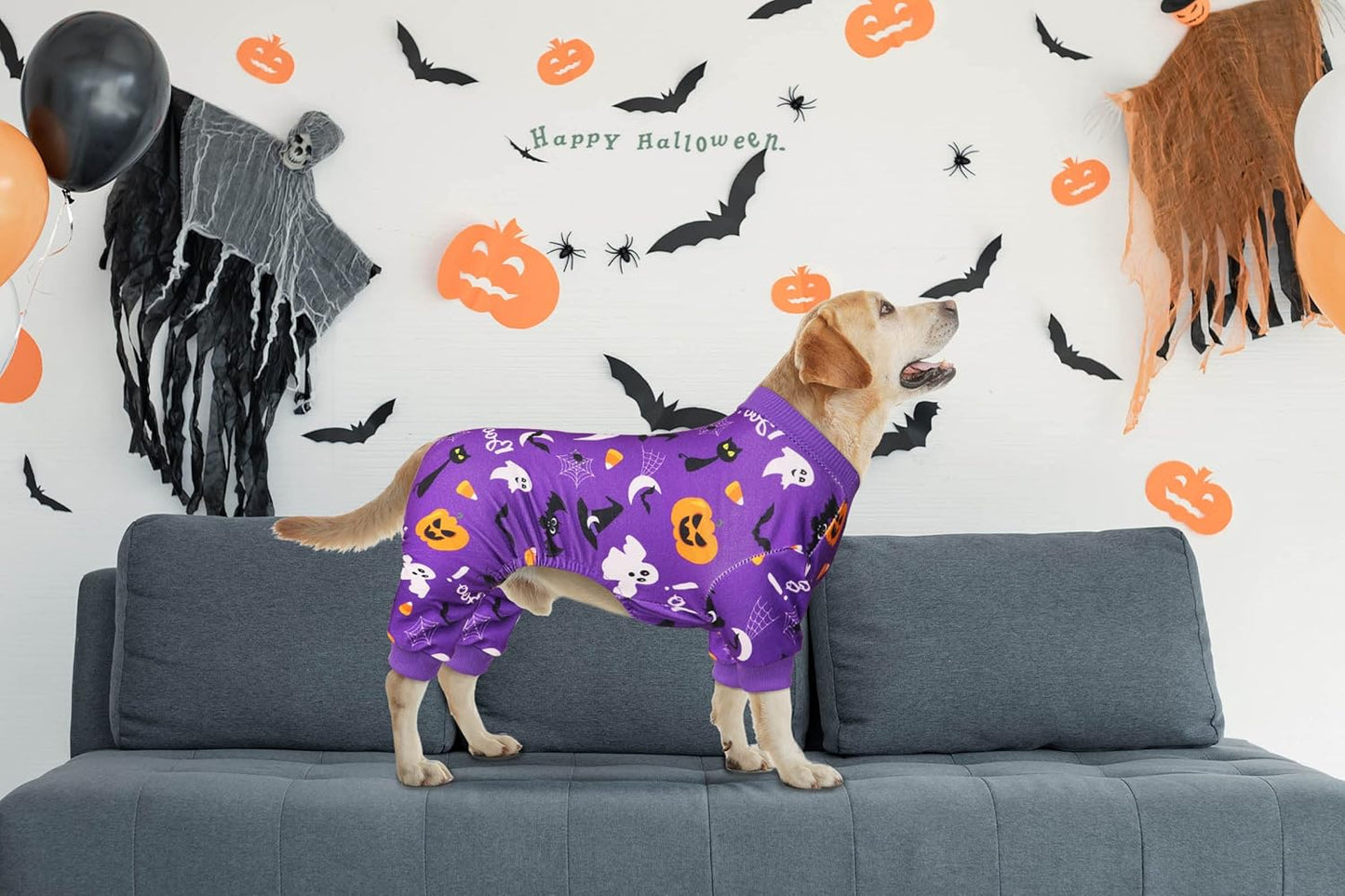 Dog Halloween Pajamas Dog Costumes Pjs Stretchy Funny Costumes Pet Clothes Outfit Pajamas for Small Dogs Puppy Cat(XS)