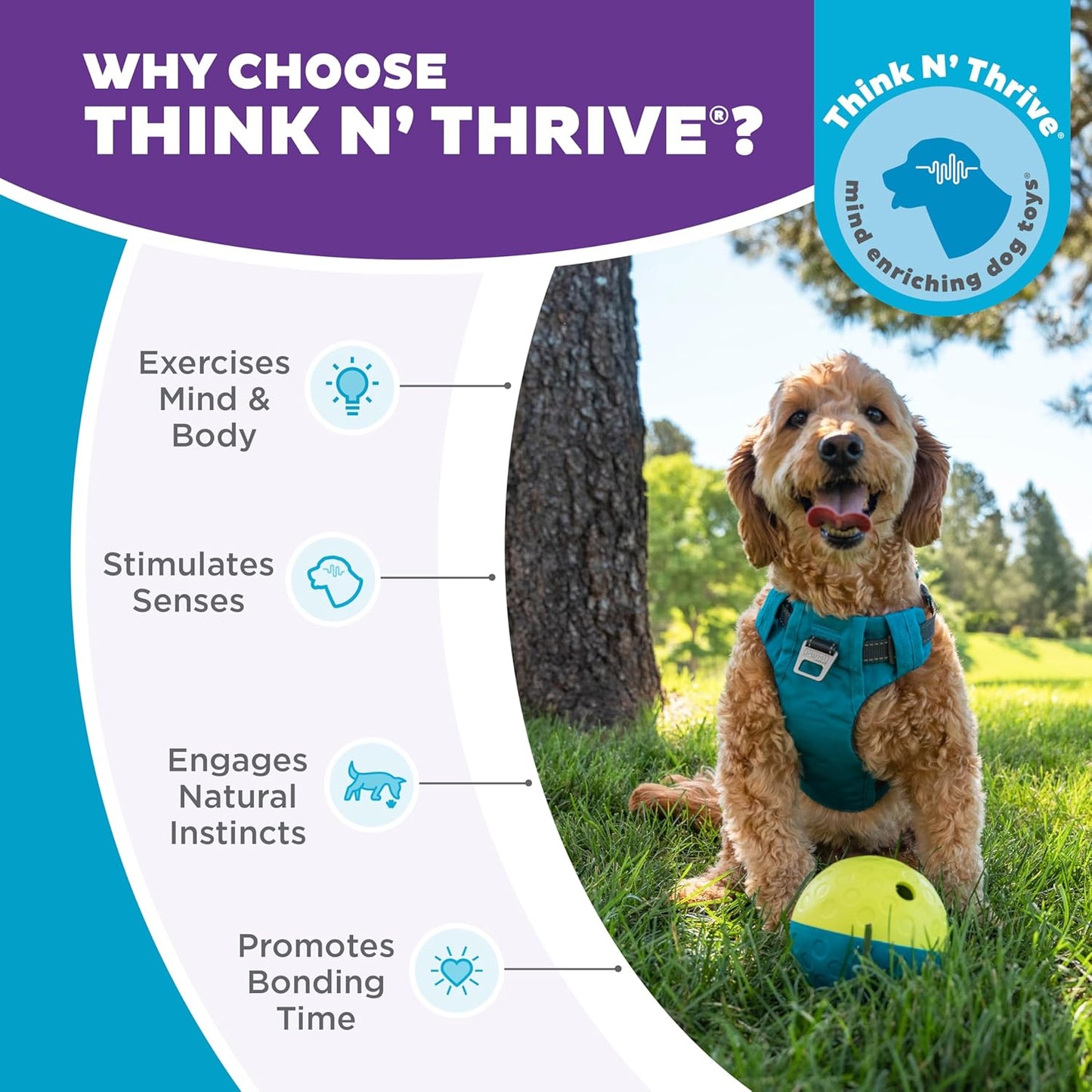 Outward Hound by Nina Ottosson Treat Tumble Interactive Puzzle Ball Dog Toy, Level 1 Beginner, Blue, Small (4.75" Diameter)