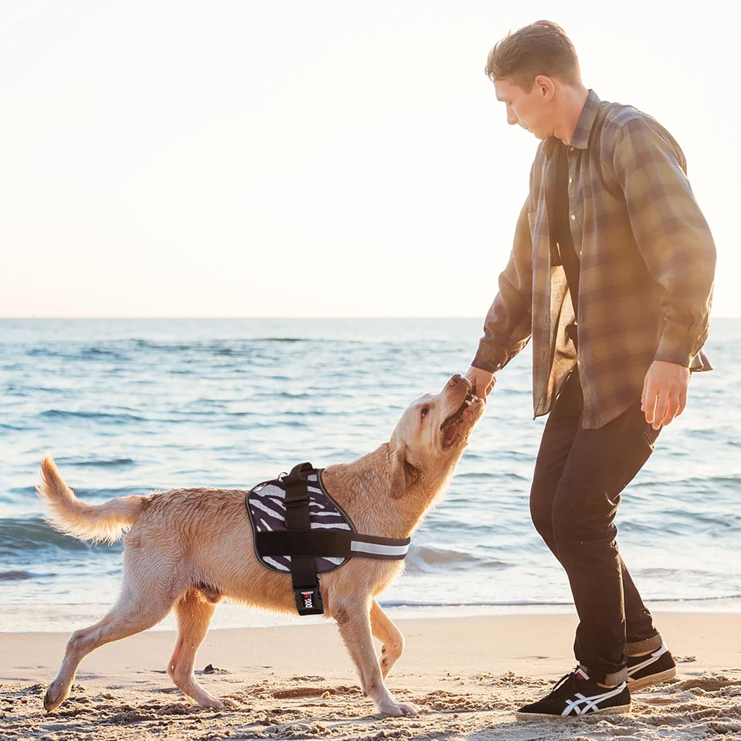 Dogline Dog Harness, Reflective No-Pull Adjustable Vest with Handle for Walking, Training, Breathable, No - Choke Harness for Small, Medium or Large Dogs Room for Patches Zebra Black/White S 18"-24"