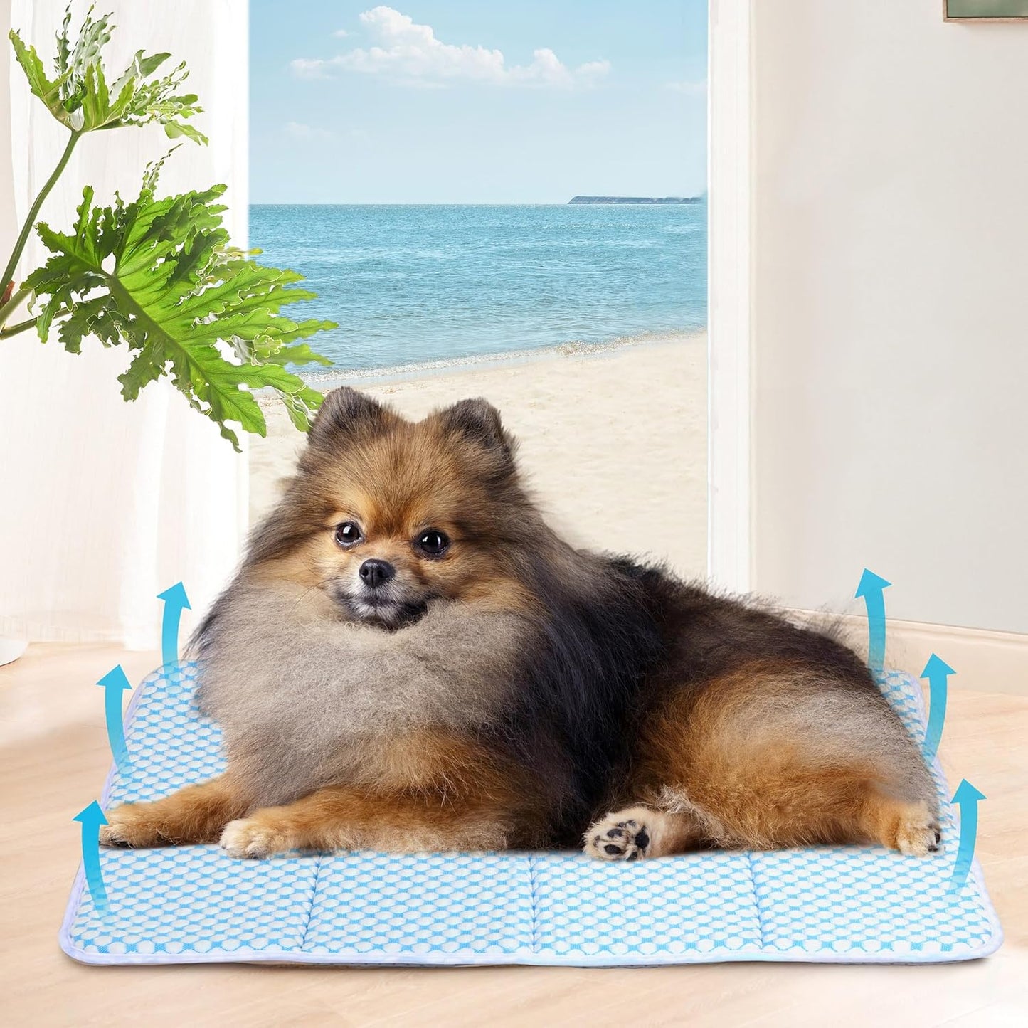 Dog Cooling Mat for Small Dogs - 24x18 Orthopedic Memory Foam Pet Pad for Summer, QMAX>0.5, Washable Premium Comfort Crate Pad for Your Furry Companion, Blue
