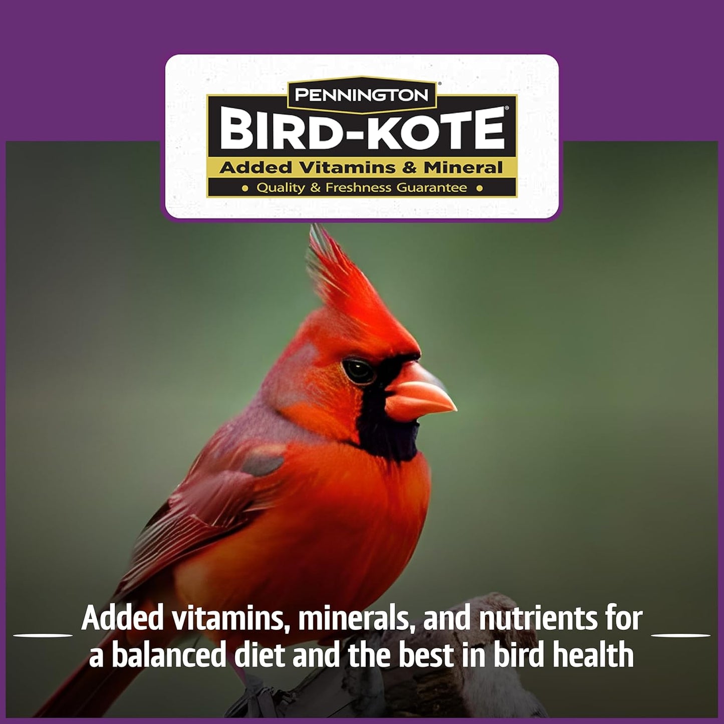 Pennington Pride Songbird Nut & Fruit Blend, Wild Bird Seed for Outside Feeders, Advanced Nutrition Formula for Bird Health, 10-lb. Bag