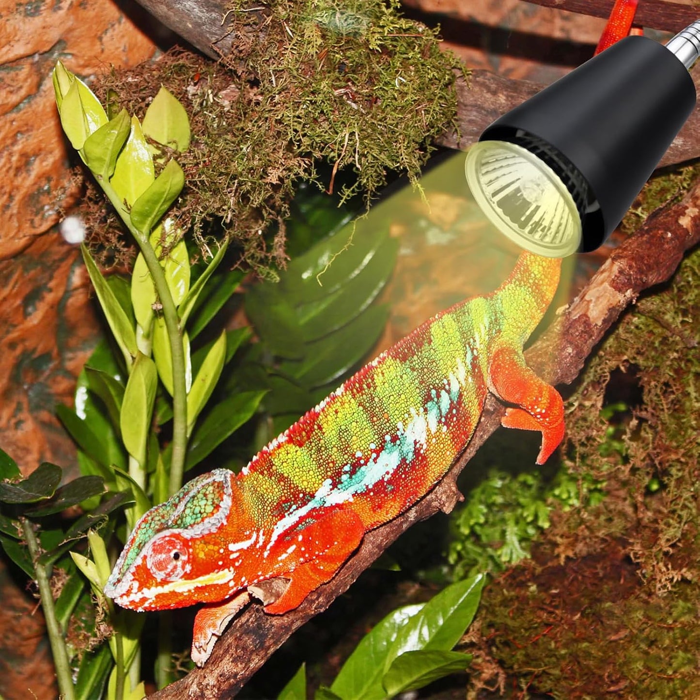 Reptile Heat Lamp Bulbs 110V, 2-Pack UVA/UVB Light for Turtles, 360° Rotatable Heating Lamp for Aquarium Terrarium, Aquatic Plants, Lizards and Snakes