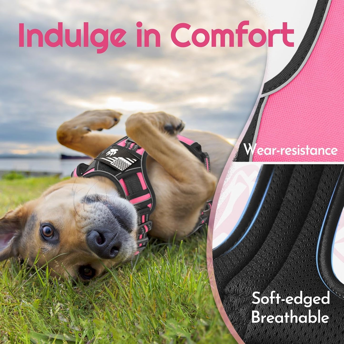 Eagloo Dog Harness for Large Dogs, Easy Wearing with 3 Buckles, Adjustable No Pull Pet Harness with 2 Rings for Walking, No Chock Reflective Soft Padded Vest with Control Handle, Pink & Black, XL