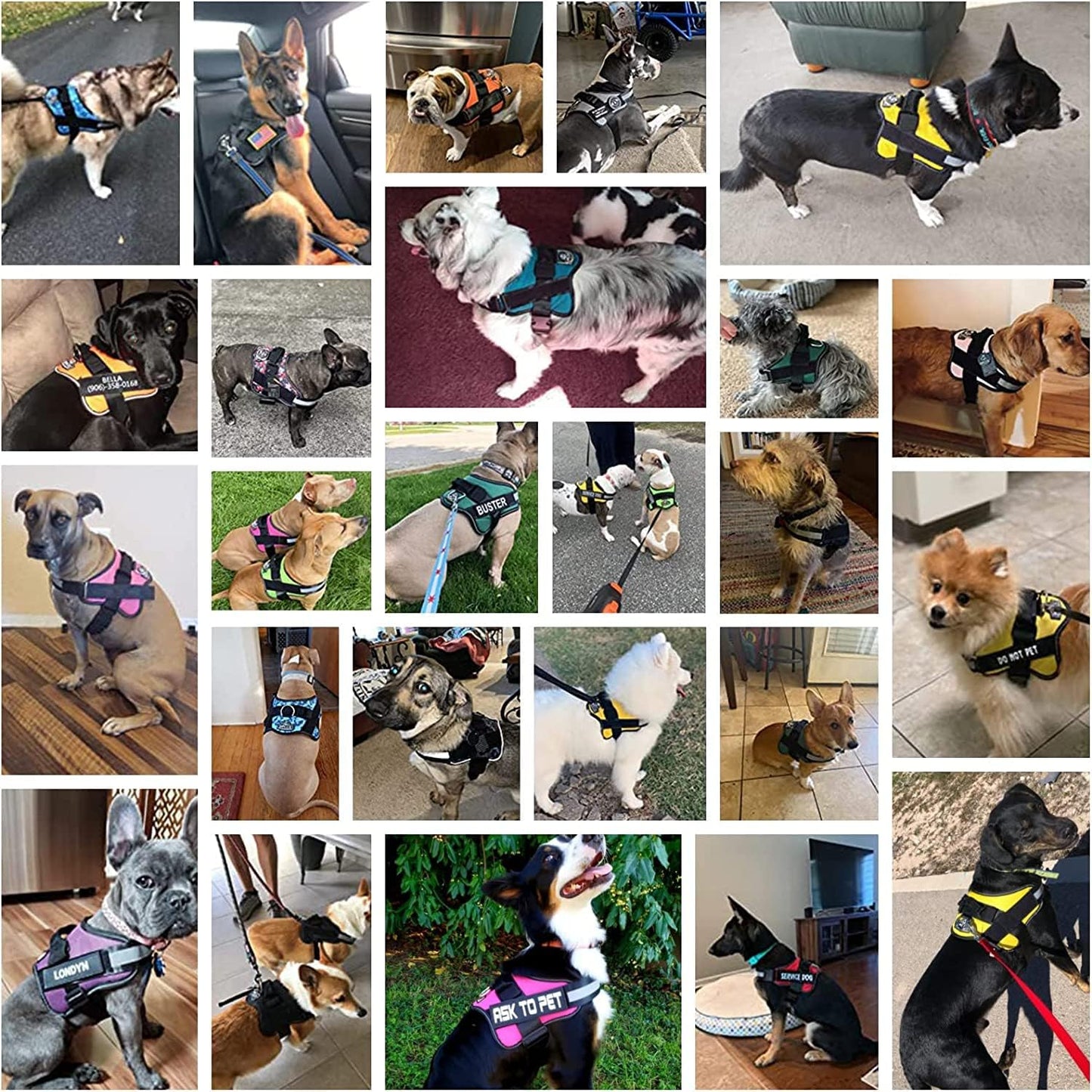 Bolux Dog Harness, No-Pull Reflective Dog Vest, Breathable Adjustable Pet Harness with Handle for Outdoor Walking - No More Pulling, Tugging or Choking Small (Pack of 1) RoseTurquoise