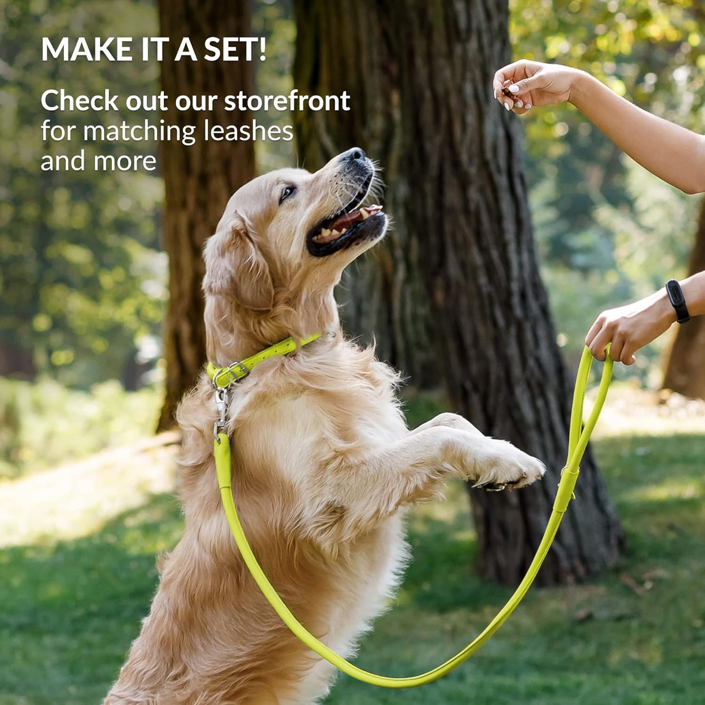 CollarDirect Rolled Leather Dog Collar, Soft Padded Round Puppy Collar, Handmade Genuine Leather Collar Dog Small Large Cat Collars 13 Colors (18-22 Inch, Lime Green Smooth)