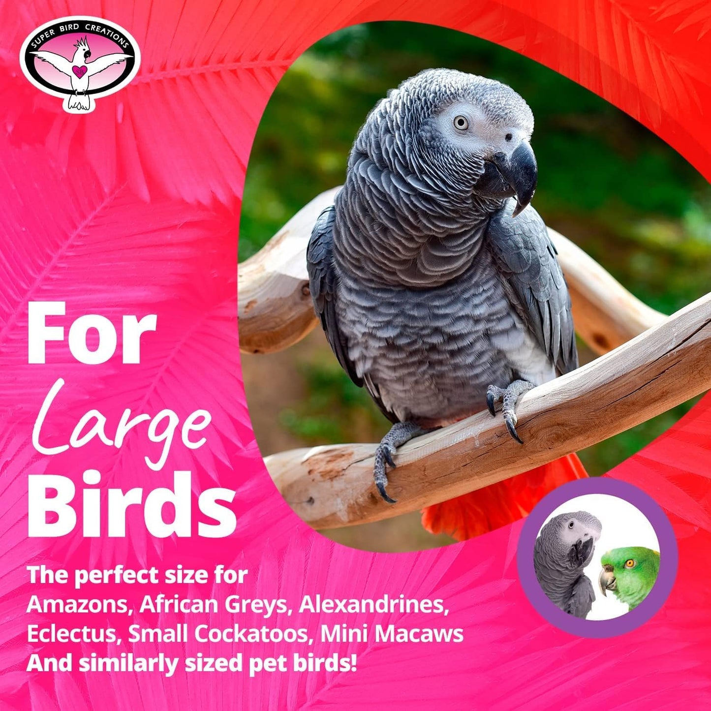Super Bird Creations SB1154 Sure-Grip Grooming Perch Extra Large, Large/XL Bird Size - Enriches Beak and Foot Health - Ideal for Parrots African Greys Cockatoos - XL Bird Size, 1 1/4" diam x 12" (XL)