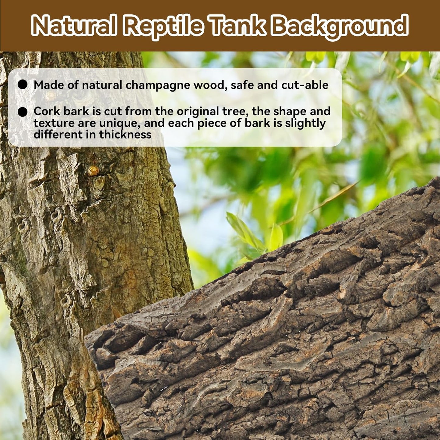 2PCS Natural Cork Terrarium Background,11.81 x 11.81 Inch Reptile Bark Background 3D Bearded Dragon Tank Climbing Mat Habitat Decoration for Lizard Gecko Chameleon Tortoise Snake Spider Frog