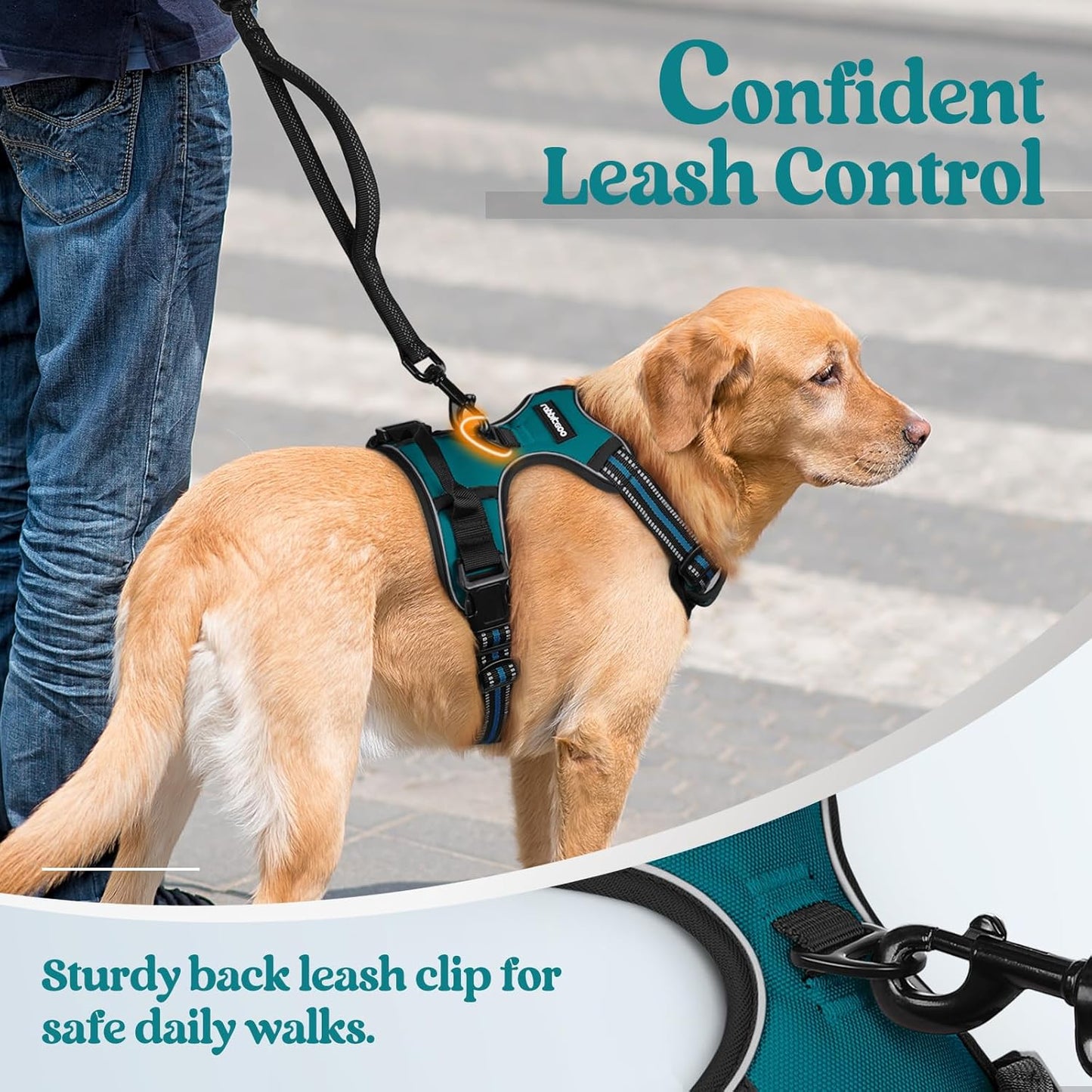 rabbitgoo Dog Harness No Pull with 2 Leash Clips, Adjustable Soft Padded, Reflective Oxford No Choke Pet Vest with Easy Control Handle for Medium Sized Dogs, Blue Coral, M