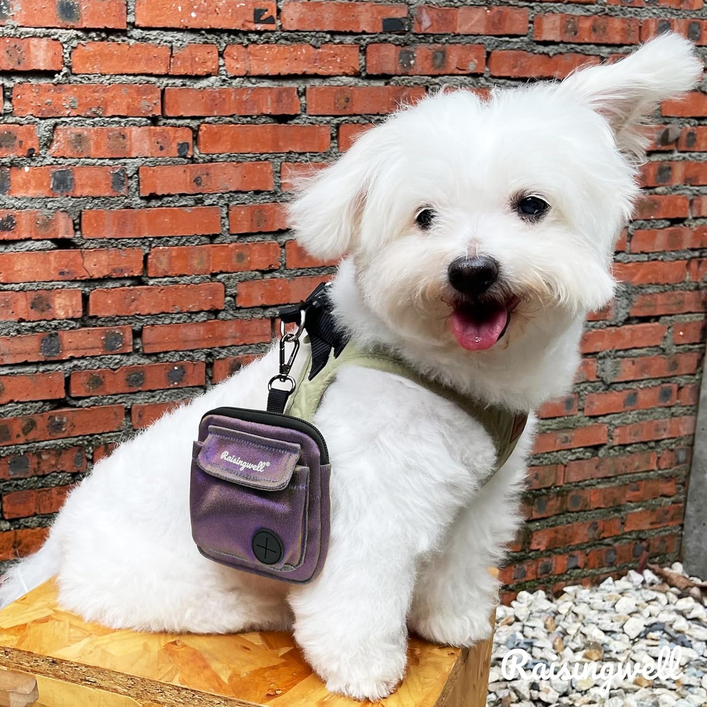 Dog Treat Pouch for Pet Walking and Training with Clicker Poop Bags and Double Bag Design Small Fanny Zipper Pack Holder for Puppy Snack Dispenser Kit for Leash and Outdoor Use (NM-Purple,)