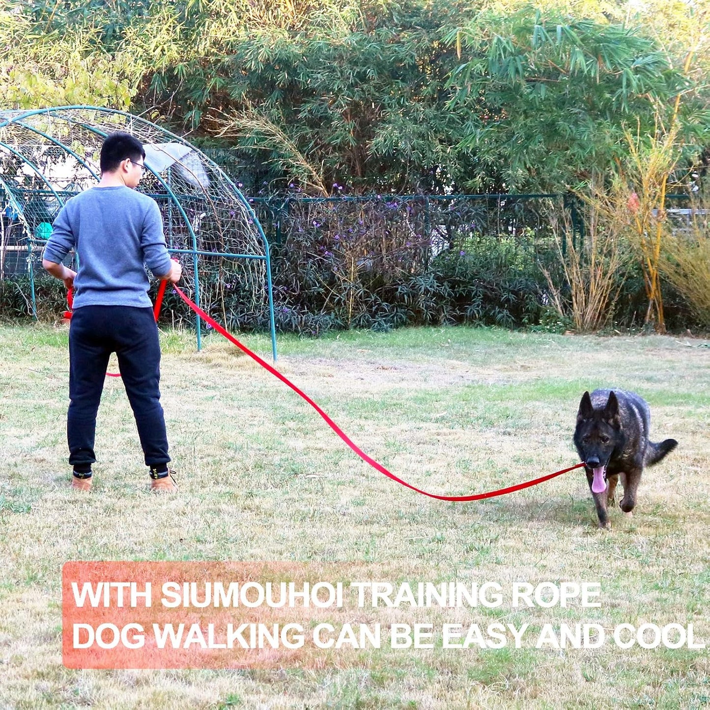 Dog/Puppy Obedience Recall Training Agility Lead - 15ft 20ft 30ft 40ft 50ft Training Leash - Great for Play, Camping, or Backyard - Black 40ft (40Feet, Black)