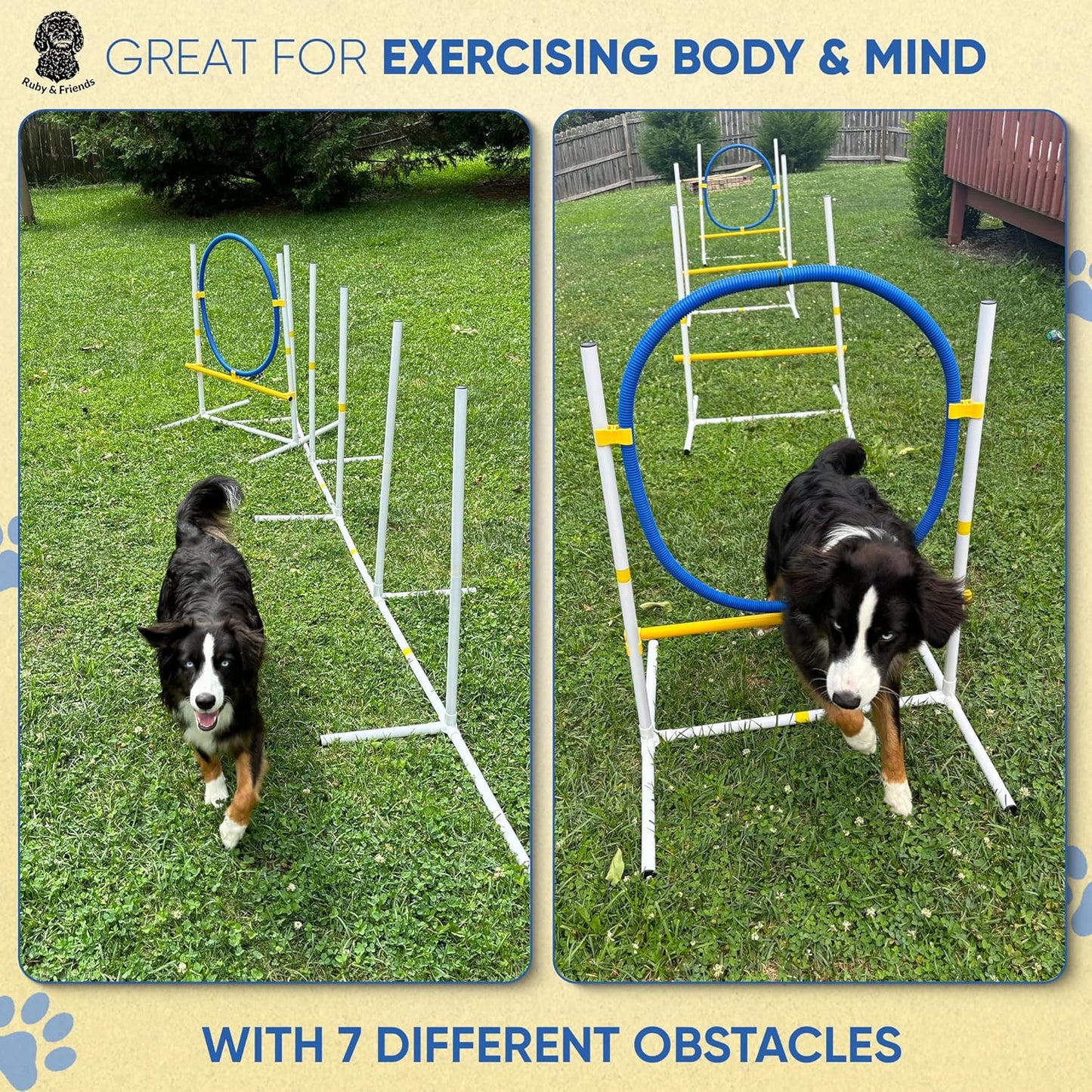 Ruby & Friends Dog Agility Equipment: Create 6 Sturdy Obstacle Courses with Our Dog Agility Course Backyard Set, Including Weave Poles, Ring Jumps and Hurdles with This Obstacle Course for Dogs