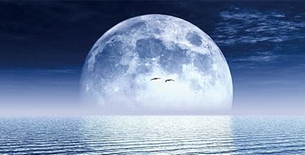 Moon Aquarium Background,Cool Sea Galaxy Parallel Space Themed Fish Tank Background, Cool Terrarium Background 30X18IN with 8 EVA Double-Sided Tape