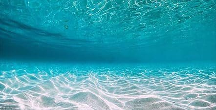 72X16IN Natural Undersea Aquarium Background, Undersea Beach Fish Tank Background, with 8 EVA Double-Sided Tape