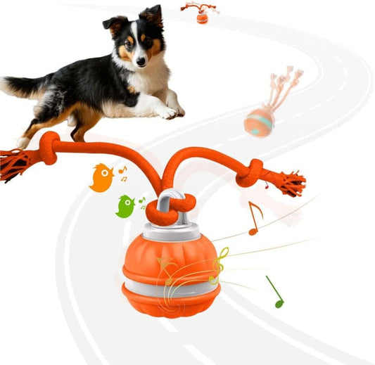 Interactive Dog Toys, Squeaky Dog Toys, Active Rolling Ball for Puppy and Medium Dogs, Squeaky, USB Rechargeable (Orange)