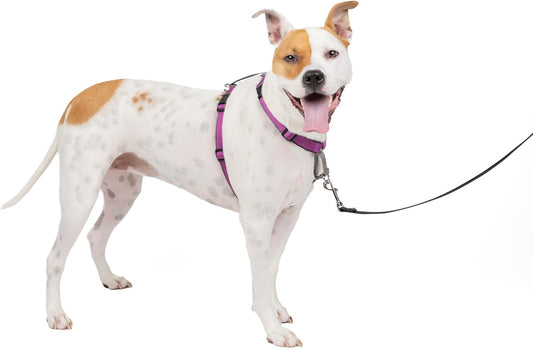 PetSafe 3 in 1 Dog Harness - No Pull Solution for Dogs - Reflective Dog Harness - Front D-Ring Clip Helps Stop Pulling - Comfortable Padded Straps - Top Handle Enhances Control - Plum - Medium