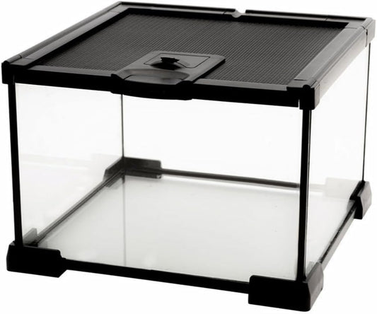 Mini Reptile Glass Terrarium Tank, cage for Tarantula Sling Geckos, Frog, Lizards, Chameleons,Turtles Snake Snail Insect Hermit Crab Isopods Reptiles Enclosure (7.9x7.9x5.7inch)