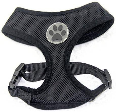 BINGPET Small Dog Harness - Breathable Mesh Puppy Cat Harnesses - No Pull Adjustable Dog Harness Dog Vest Harness for Small and Medium Dogs