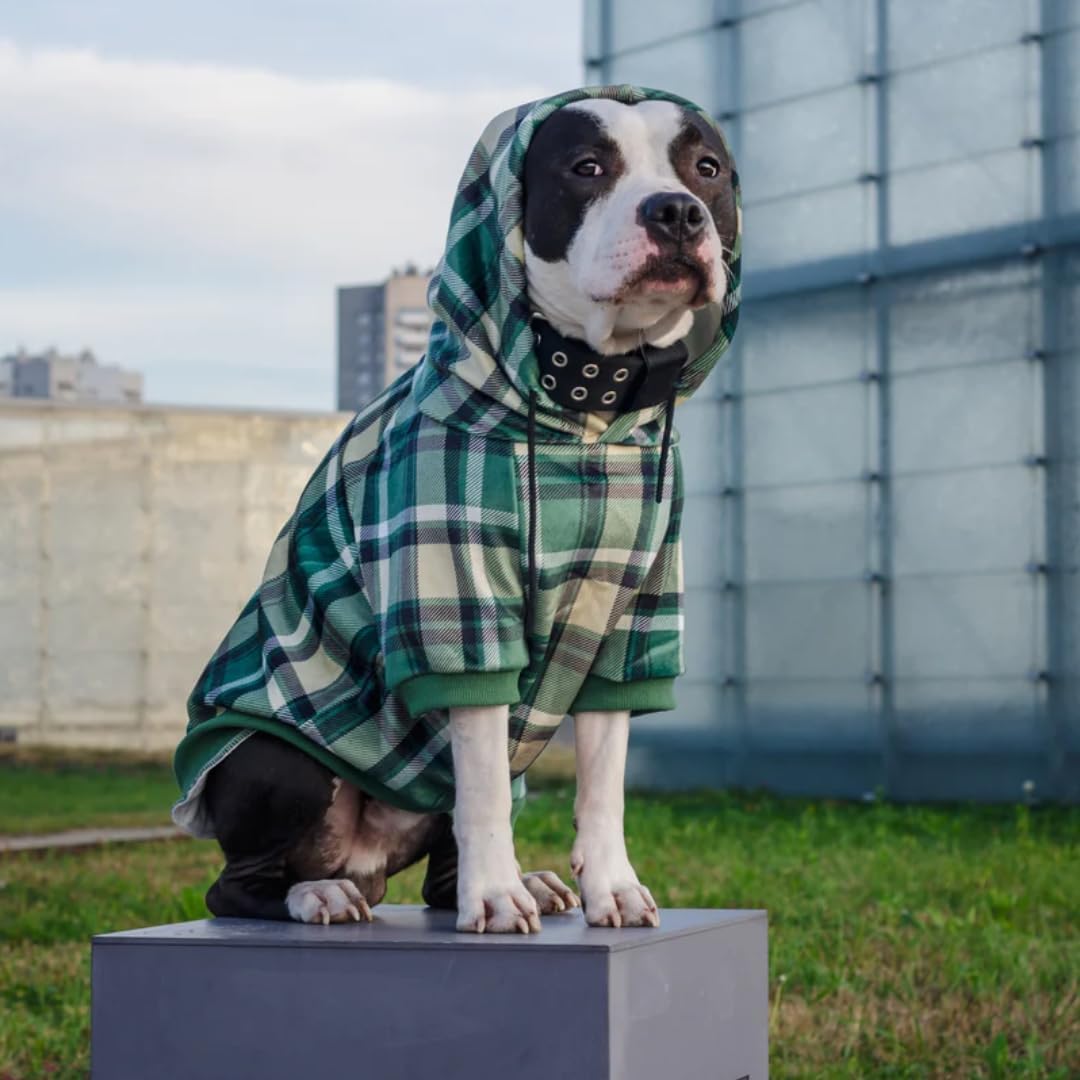Spark Paws Dog Hoodie – Premium Dog Sweater for Small, Medium, and Large Dogs | Warm Outfits for French Bulldogs, Pitbull, Puppy, Winter Jacket Alternative - Green Plaid - XL