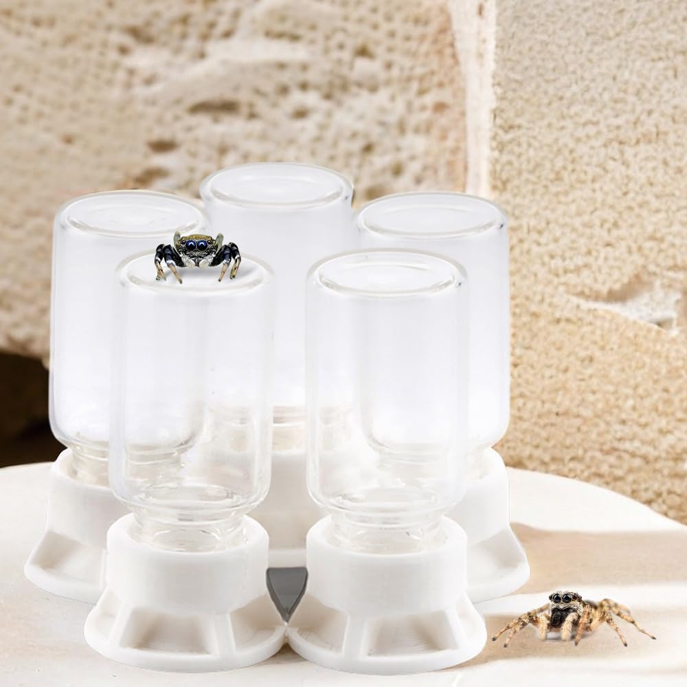 5 Pcs Jumping Spider Ant Water Feeder Bee Plastic Water Feeding Tarantula Water Bowl Spider Feeder (Capacity: 20ml)