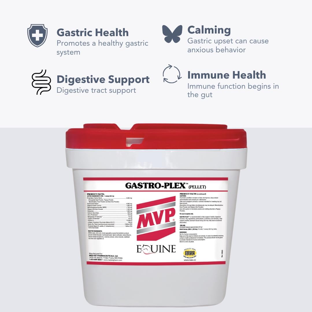 Gastro-Plex (6 lb) Supports Gut Health and Hindgut Digestion in Horses