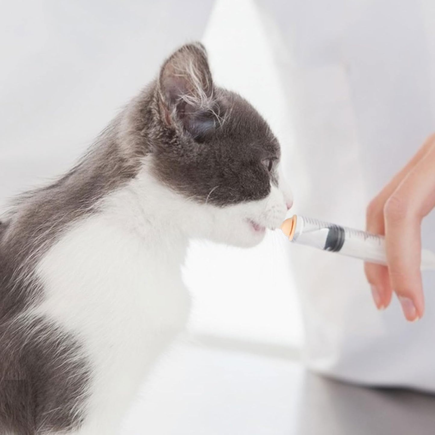 Suxgumoe Pet Feeding Bottle Set, Feeding Silicone Nipple with Bottle and Syringes, Reusable Pet Nursing Kits Feeding Tools for Rabbits, Small Animals (1 Bottle+3 Nipples+2 Syringes + 1 Measuring Cup)