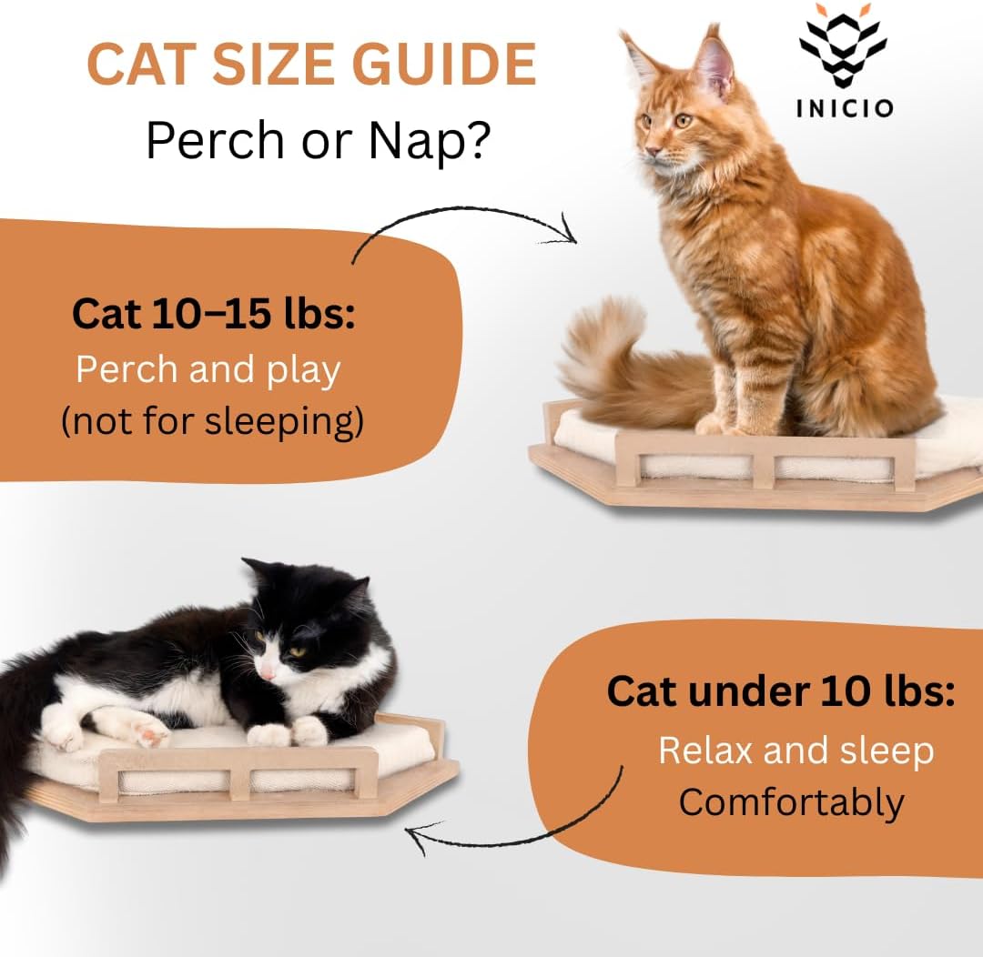 INICIO Cat Wall Shelves - Modern and Durable 3 Step Cat Furniture for Wall - Stylish Birch Floating Shelf for Cats up to 15lbs - Wooden Corner Shelves with Cushioned Perch - Natural Wood