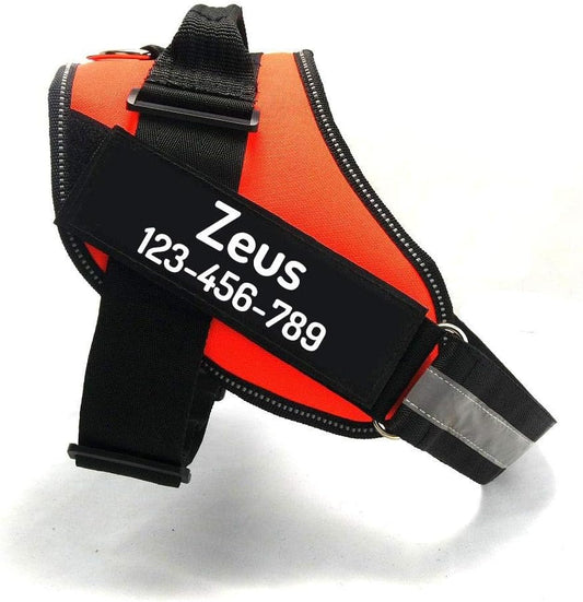 PawPawify Custom No Pull Dog Harness with Name and Phone Number, Heavy Duty Personalized Pet Vest to Prevent Tugging, Pulling, or Choking, Training and Walking (Orange, XL (60-85 LBS))