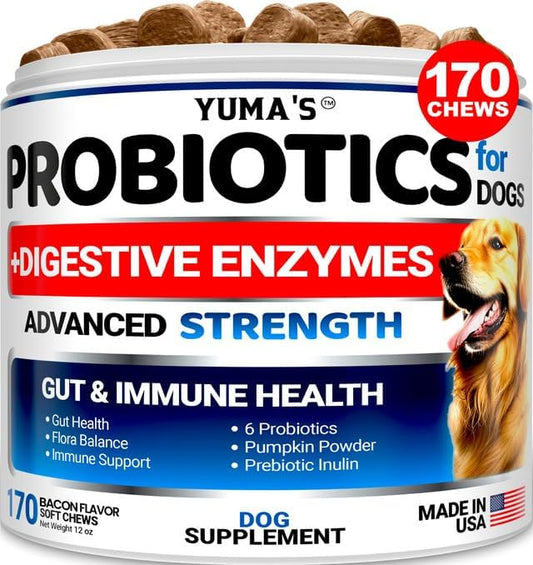 Probiotics for Dogs and Digestive Enzymes - 170 Dog Probiotics Chews - Dog Probiotic - Anti Diarrhea, Upset Stomach & Gas Relief, Canine Prebiotic - Pet Fiber Supplement - Bacon Flavor