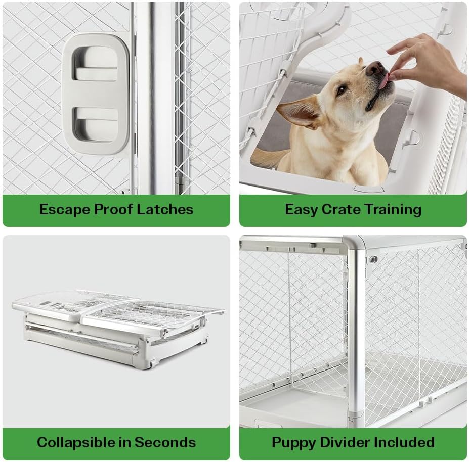 DIGGS Revol Collapsible Dog Crate with Wheels - Premium Portable Dog Crate - Safe, Stylish, and Convenient Indoor Kennel (Ash, Intermediate)