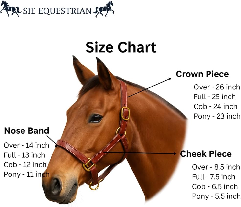 Triple Stitch Leather Horse Halter, Adjustable Design, Fancy Stitching, Solid Brass Hardware